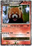 Red Panda