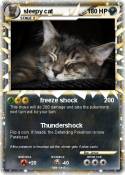 sleepy cat