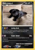 Baby pug