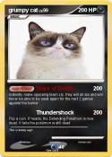 grumpy cat