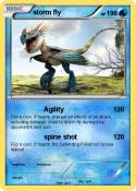 storm fly