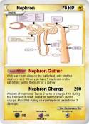 Nephron