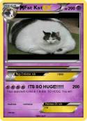 Fat Kat