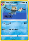 dake doge water