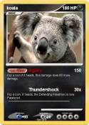 koala