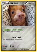 DERP DOG