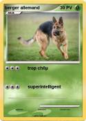 berger allemand