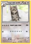 mega cute cat