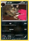 cat 100