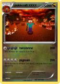 pokécraft XXXX