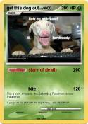 get this dog