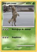 loup gris joueµ