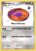 nucleolus