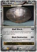 Slice Shell