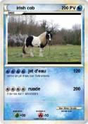 irish cob