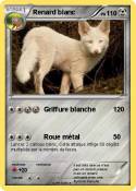 Renard blanc
