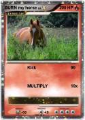 BURN my horse
