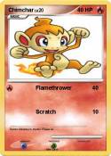 Chimchar