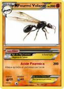Fourmi Volante