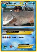 magicarp