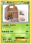 PetRock