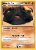 Maya the Pug