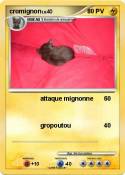 cromignon