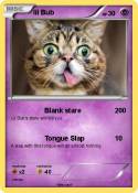 lil Bub