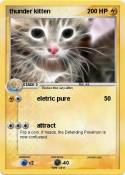 thunder kitten