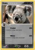 Koala