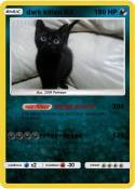 dark kitten