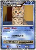 Suprised Kitty