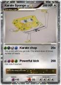 Karate Sponge