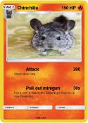 Chinchilla