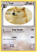 Doge