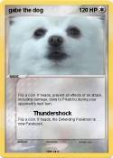 gabe the dog