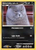 bored kitty cat