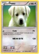 Puppy