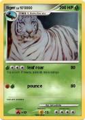 tiger