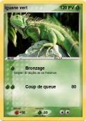 Iguane vert