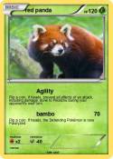 red panda