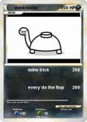 mine turtle