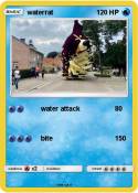 waterrat
