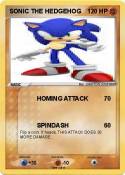 SONIC THE HEDGE