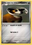 collet dans les