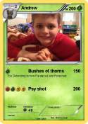 Andrew