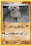caramelor niv.X