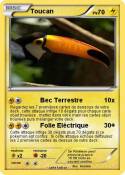 Toucan