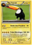 Big Toucan