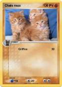 Chats roux